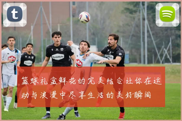 篮球礼盒鲜花的完美结合让你在运动与浪漫中尽享生活的美好瞬间