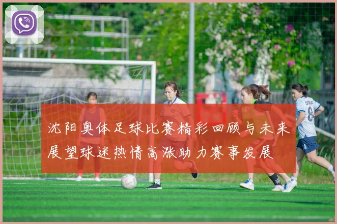 沈阳奥体足球比赛精彩回顾与未来展望球迷热情高涨助力赛事发展