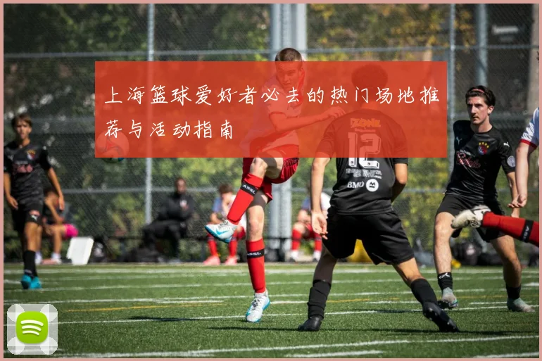上海篮球爱好者必去的热门场地推荐与活动指南