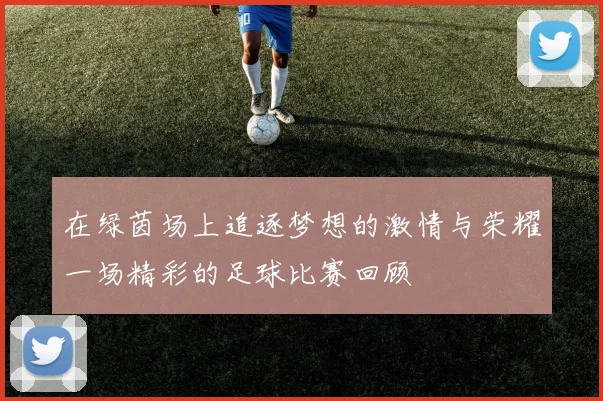 在绿茵场上追逐梦想的激情与荣耀一场精彩的足球比赛回顾